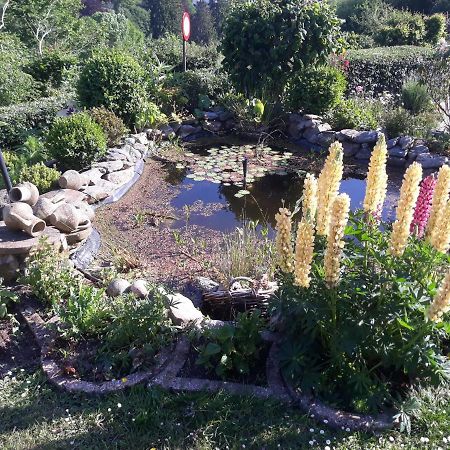 Studio Au jardin fleuri Verviers Extérieur photo