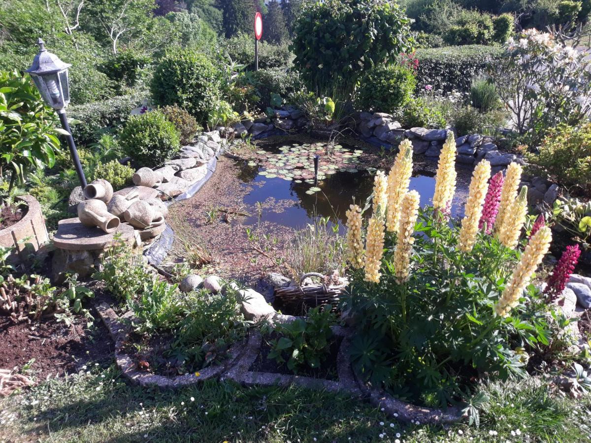 Studio Au jardin fleuri Verviers Extérieur photo